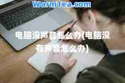 电脑没声音怎么办(电脑没有声音怎么办)