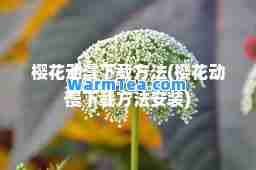 樱花动漫下载方法(樱花动漫下载方法安装)
