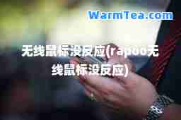 无线鼠标没反应(rapoo无线鼠标没反应)