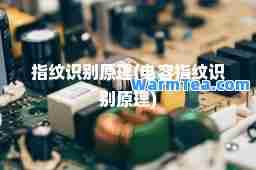 指纹识别原理(电容指纹识别原理)