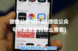 微信公众号开发(微信公众号开发者密码怎么查看)
