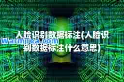 人脸识别数据标注(人脸识别数据标注什么意思)