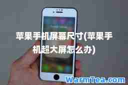 苹果手机屏幕尺寸(苹果手机超大屏怎么办)