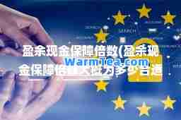 盈余现金保障倍数(盈余现金保障倍数大概为多少适)