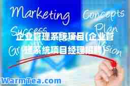 企业管理系统项目(企业管理系统项目经理招聘)