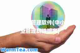 中小企业管理软件(中小企业管理软件排名)