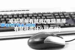 电脑黑屏有鼠标(电脑黑屏有鼠标按什么键恢复)