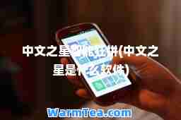 中文之星智能狂拼(中文之星是什么软件)