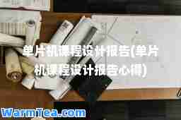 单片机课程设计报告(单片机课程设计报告心得)
