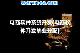 电商软件系统开发(电商软件开发毕业分配)