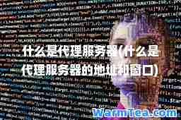什么是代理服务器(什么是代理服务器的地址和窗口)