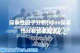 探索性因子分析(spss探索性分析结果解读)