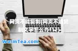 网页不能(网页不能文字怎么办f12)