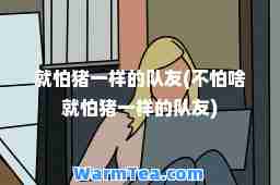 就怕猪一样的队友(不怕啥就怕猪一样的队友)