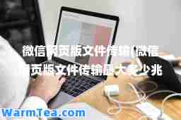 微信网页版文件传输(微信网页版文件传输多少兆)