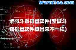 紫微斗数排盘软件(紫微斗数排盘软件算出来不一样)