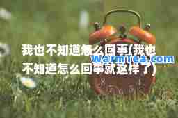 我也不知道怎么回事(我也不知道怎么回事就这样了)