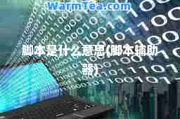 脚本是什么意思(脚本辅助器)