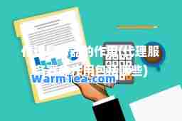 代理服务器的作用(代理服务器的作用包括哪些)