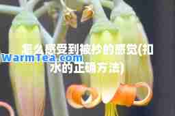 怎么感受到被抄的感觉(扣水的正确方法)