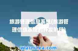 旅游管理信息系统(旅游管理信息系统的开发阶段)