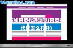 在线网页代理浏览(网页的代理怎么打开)