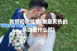 我想和你结婚(做最炙热的亲吻是什么歌)