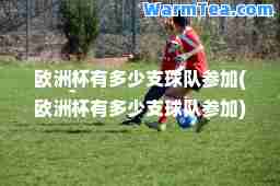 欧洲杯有多少支球队参加(欧洲杯有多少支球队参加)