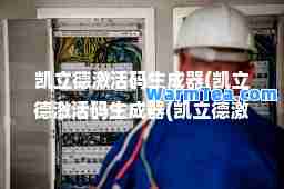 凯立德激活码生成器(凯立德激活码生成器(凯立德激活码获取工具)绿色版)