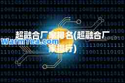 超融厂家排名(超融厂家排行)