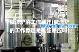 微波炉的工作原理(微波炉的工作原理是电磁感应吗)