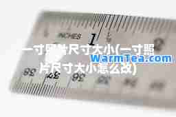 一寸照片尺寸大小(一寸照片尺寸大小怎么改)