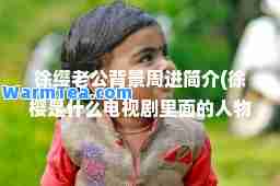 徐缨老公背景周进简介(徐樱是什么电视剧里面的人物)