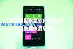 手机数据恢复软件(专业手机数据恢复软件)