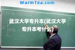 武汉大学专升本(武汉大学专升本考什么)