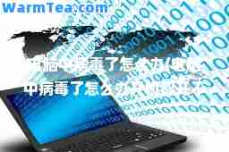 电脑中病毒了怎么办(电脑中病毒了怎么办开机都开不了)
