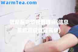 信息系统项目管理师(信息系统项目管理高级)