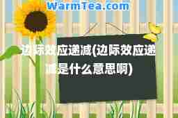 边际效应递减(边际效应递减是什么意思啊)