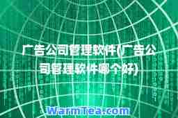 广告公司管理软件(广告公司管理软件哪个好)