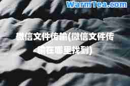 微信文件传输(微信文件传输在哪里找到)