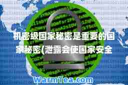 机密级国家秘密是重要的国家秘密(泄露会使国家安全)