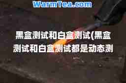 黑盒测试和白盒测试(黑盒测试和白盒测试都是动态测试吗)