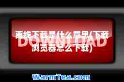 离线下载是什么意思(下载浏览器怎么下载)