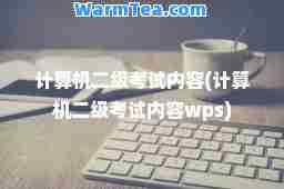 计算机二级考试内容(计算机二级考试内容wps)