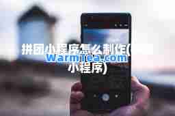 拼团小程序怎么制作(拼团小程序)