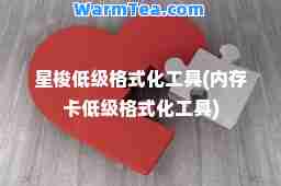 星梭低级格式化工具(内存卡低级格式化工具)