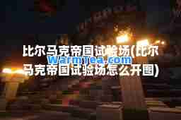 比尔马克帝国试验场(比尔马克帝国试验场怎么开图)