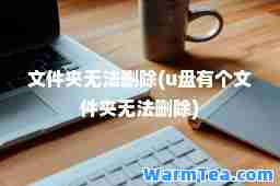 文件夹无法删除(u盘有个文件夹无法删除)