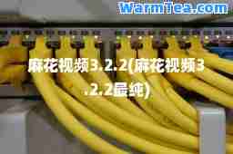 麻花视频3.2.2(麻花视频3.2.2最纯)
