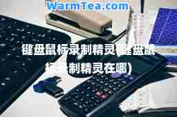 键盘鼠标录制精灵(键盘鼠标录制精灵在哪)